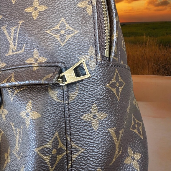 Louis Vuitton Monogram Palm Springs Backpack PM - Picture 9 of 17